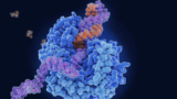 Mit mRNA gegen Viren