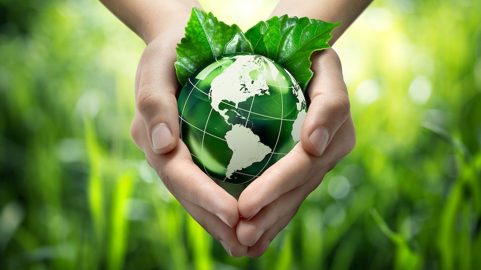 Green planet in your heart hands - usa - environment concept