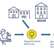 Schematische Darstellung der Beteiligten (Forscher, PEI, BfArM, Beratungsunternehmen) auf dem Weg zur klinischen Studie