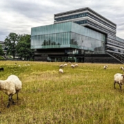 Das Idyll hängt von der Blickrichtung ab im niederländischen Geelen. Gleich daneben qualmen die Schlote des Chemieparks, der derzeit noch stark erdölbasiert agiert. Das will Mevaldi mit Hilfe des HTGFs ändern.