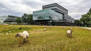 Das Idyll hängt von der Blickrichtung ab im niederländischen Geelen. Gleich daneben qualmen die Schlote des Chemieparks, der derzeit noch stark erdölbasiert agiert. Das will Mevaldi mit Hilfe des HTGFs ändern.