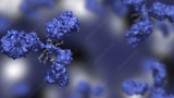 Heidelberg Pharma_431587103_tg