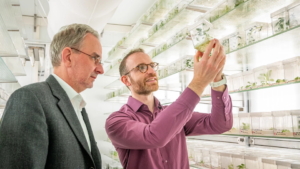 Das Team um Institutsleiter Prof. Ralph Bock (links) und Projektleiter Dr. Daniel Dunkelmann (rechts) versucht Nutzpflanzen  mit optimierten Chloroplastengenomen auszustatten