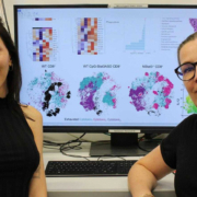 Dr. Irem Ozel (links) und Prof. Dr. Jadwiga Jablonska bei der finalen Bearbeitung des Bildmaterials für ihre Studie