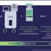 ALG-115 Immungentherapie - optimiert für den operativen Transplantationsprozess