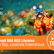 LowBias_Advertorial_202601_Fin