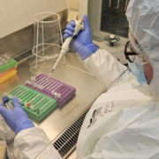 Eine Labortechnikerin im kontaminationskontrollierten Alten DNA Labor an der University of Tartu bei der Extraktion von winzigen Mengen DNA aus jahrhundertealten Skeletten.