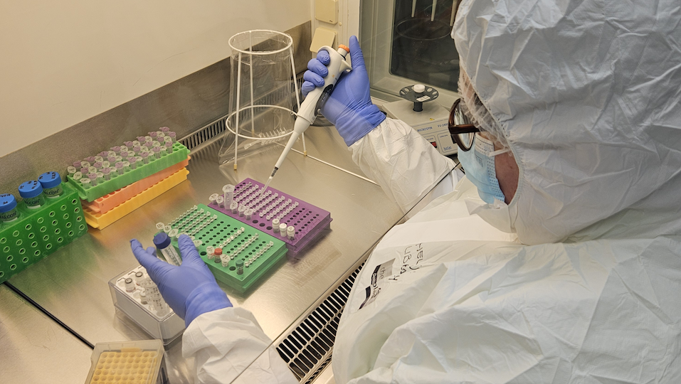 Eine Labortechnikerin im kontaminationskontrollierten Alten DNA Labor an der University of Tartu bei der Extraktion von winzigen Mengen DNA aus jahrhundertealten Skeletten.