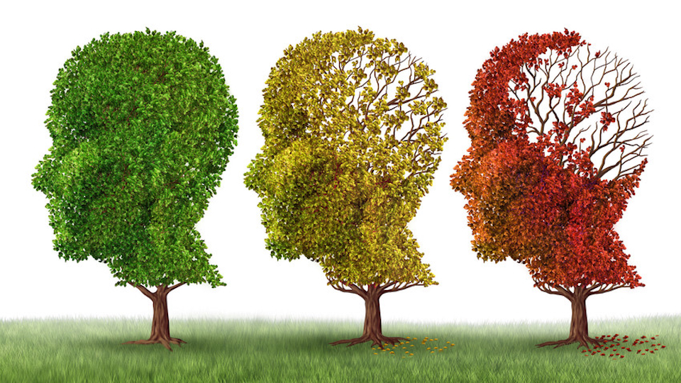 alzheimer kopfbäume blätter 960x540_RS5905_AdobeStock_80738791_scr Kopie Demenz: Was wirkt gegen das Vergessen?