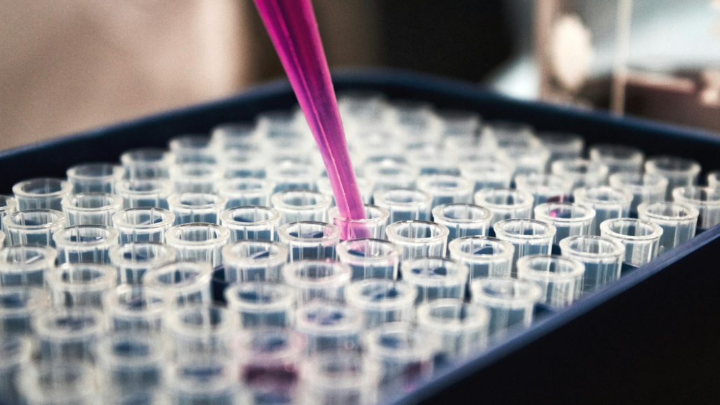 louis-reed-pwcKF7L4-no-unsplash