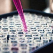 louis-reed-pwcKF7L4-no-unsplash