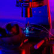 Dropzylla heißt die Antikörper-Plattform der Schweizer Memo Therapeutics, bei der einzelne Antikörper in kleine Tropfen verpackt werden und leichter zu isolieren sind.