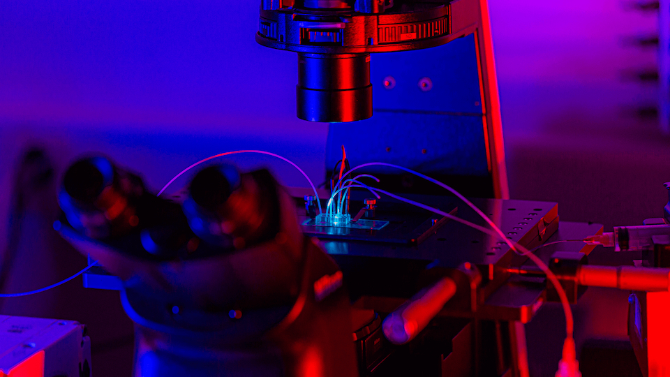 Dropzylla heißt die Antikörper-Plattform der Schweizer Memo Therapeutics, bei der einzelne Antikörper in kleine Tropfen verpackt werden und leichter zu isolieren sind.