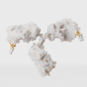 Hohe Expertise in der Verknüpfung eines Toxins an den Antikörper, das ist das Know-how der Wiener Valanx Biotech