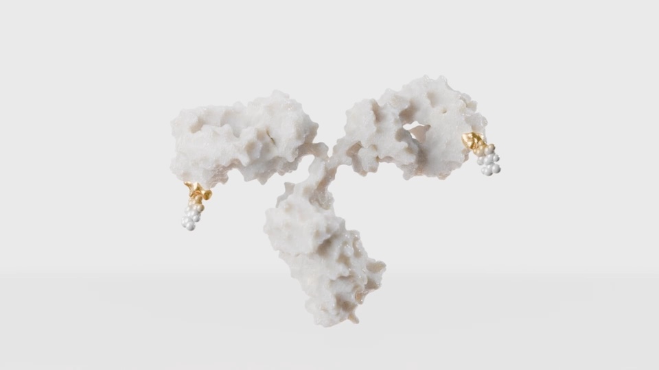 Hohe Expertise in der Verknüpfung eines Toxins an den Antikörper, das ist das Know-how der Wiener Valanx Biotech