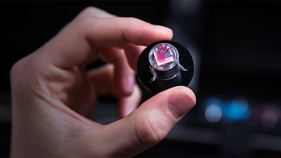 intuity-cellbricks-v2-intuity-printed-on-cell-brick Finanzierung für Cellbricks: Mit kleinen gedruckten Geweben fängt man Mäuse.