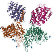 So wie dieser Aminosäure-Transporterkomplex könnte der bisher geheimgehaltene Transporter aussehen, den iDEL Therapeutics als idealen Shuttle für Wirkstoffe ins Zellinnere identifiziert hat (das Bild ist damit nur ein Symbolbild)