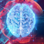 mtz.de_Gehirn _Leiterplatte