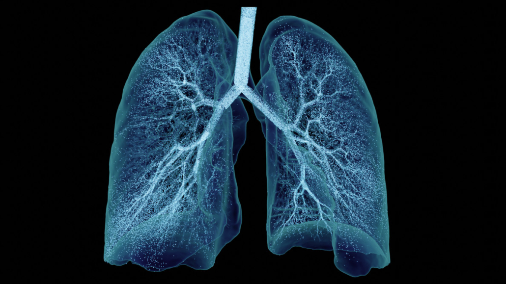mtz.de_Lunge_Aerosolblaeschen©Ebenbuild+2026 Digitaler Zwilling der Lunge mit Aerosolpartikeln