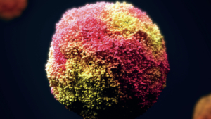 Organoide Illustration