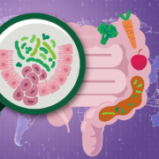 Neue, vom EMBL geleitete Forschung identifiziert eine robuste Darmmikrobiom-Signatur, die mit Darmkrebs assoziiert ist, populationsübergreifend, unabhängig von Sequenzierungsmethoden und Altersgruppen auftritt und mit einer niedrigen Ballaststoffzufuhr zusammenhängt.