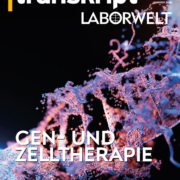 11/6/26 mw: Vorschlagbild, Texte fehlen 11/6/26 mw: Vorschlagbild, Texte fehlen