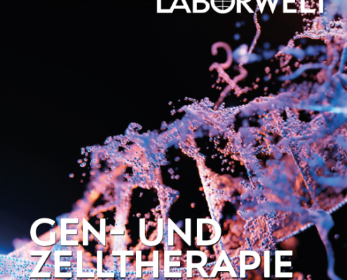 11/6/26 mw: Vorschlagbild, Texte fehlen