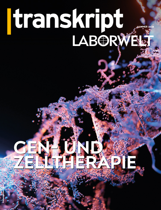 11/6/26 mw: Vorschlagbild, Texte fehlen 11/6/26 mw: Vorschlagbild, Texte fehlen