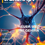 11/6/26 mw: Vorschlagbild, Texte fehlen 11/6/26 mw: Vorschlagbild, Texte fehlen
