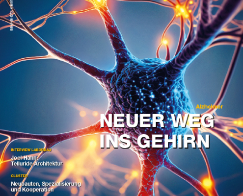 11/6/26 mw: Vorschlagbild, Texte fehlen