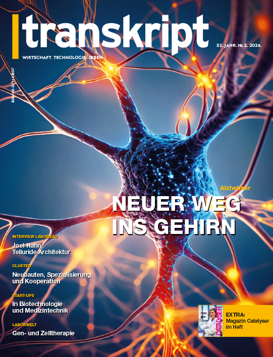 11/6/26 mw: Vorschlagbild, Texte fehlen