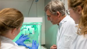 Der DNA-Origami-Schalter lässt sich per elektrischem Feld in Millisekunden umschalten.