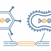 Typische Krebsneoantigene in eine Virushülle packen und eine präventive "Impfung" vornehmen, das ist die Idee der Schweizer Nouscom. Investoren finden das spannend